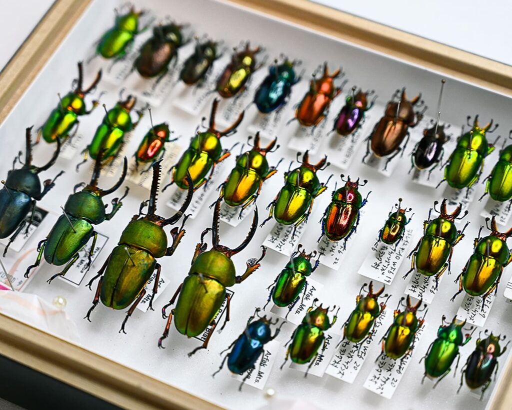 豊富な経験と確かな実績