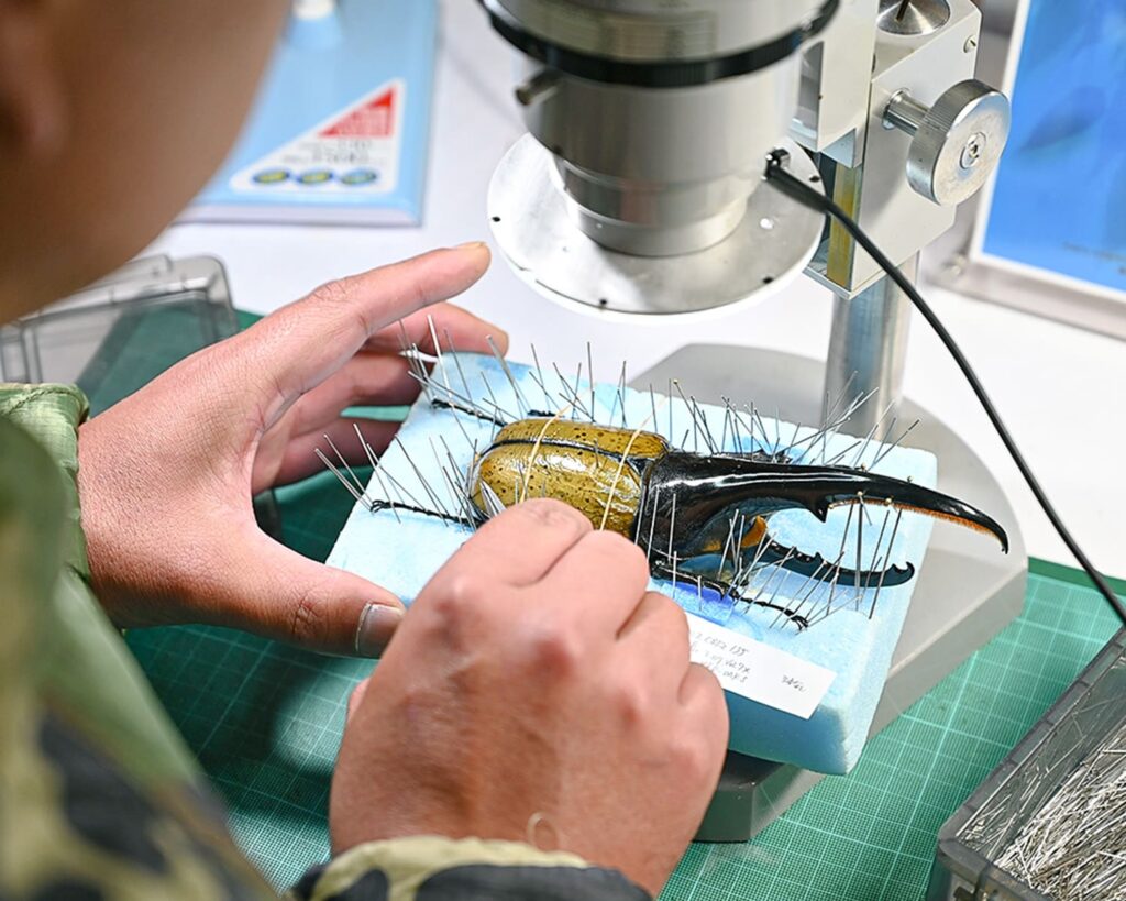 「昆虫のトータルサポート」