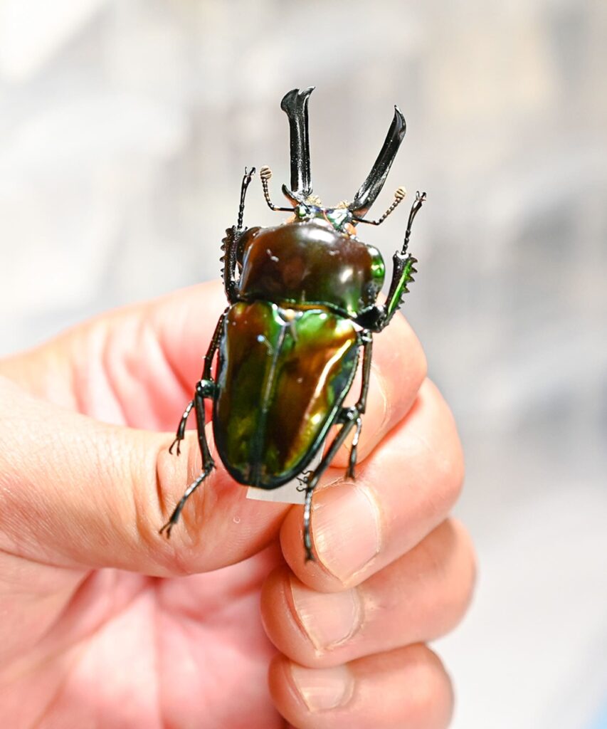 こんなお悩みありませんか？